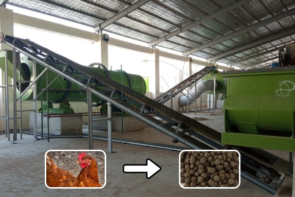 Planta de granulación de estiércol de pollo a gran escala