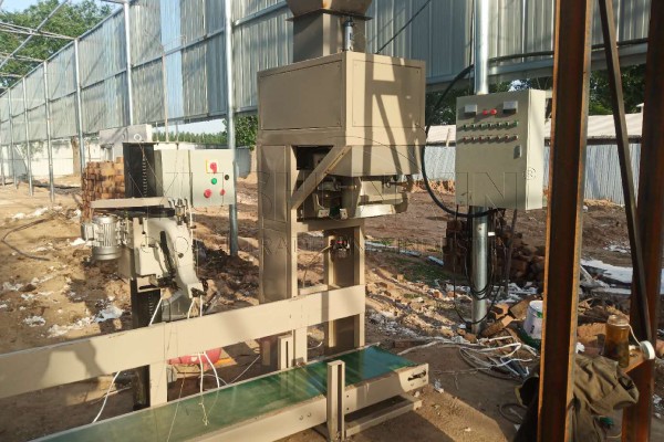 Cómo Disponer del Estiércol de Cerdo en Perú - 图2