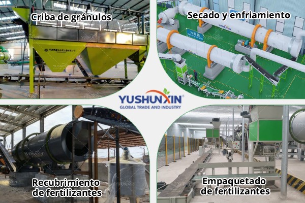 Plan de Producción de Biofertilizantes - 图1