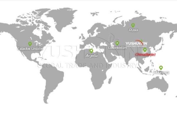 4 Oficinas Internacionales de YUSHUNXIN en 2025
