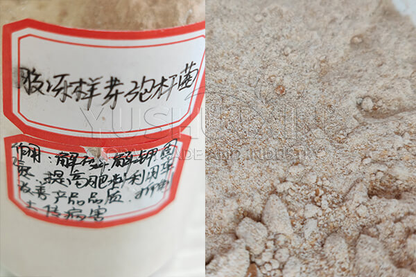 Rhizobium para la producción de biofertilizantes