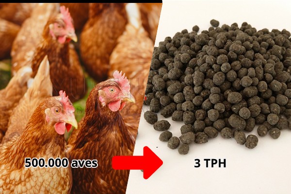 ¿Qué tamaño de línea de producción de abono orgánico se requiere para el tratamiento de la gallinaza de 500.000 aves?