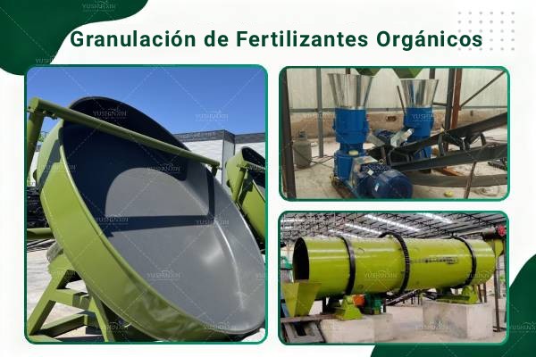 Disposición de Estiércol de Cerdo - 图1