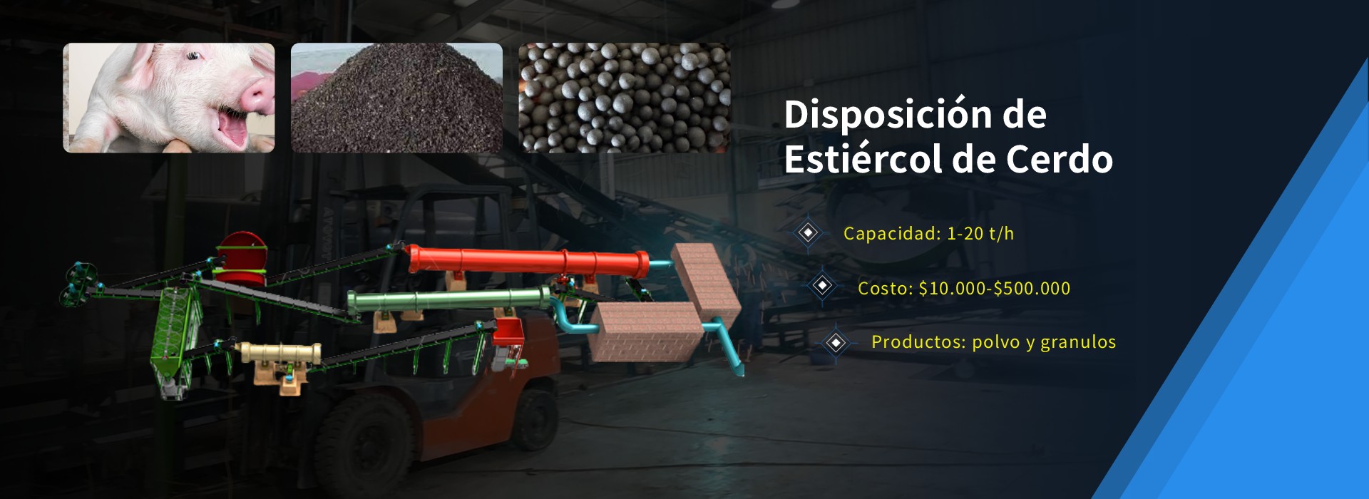 Disposición de Estiércol de Cerdo