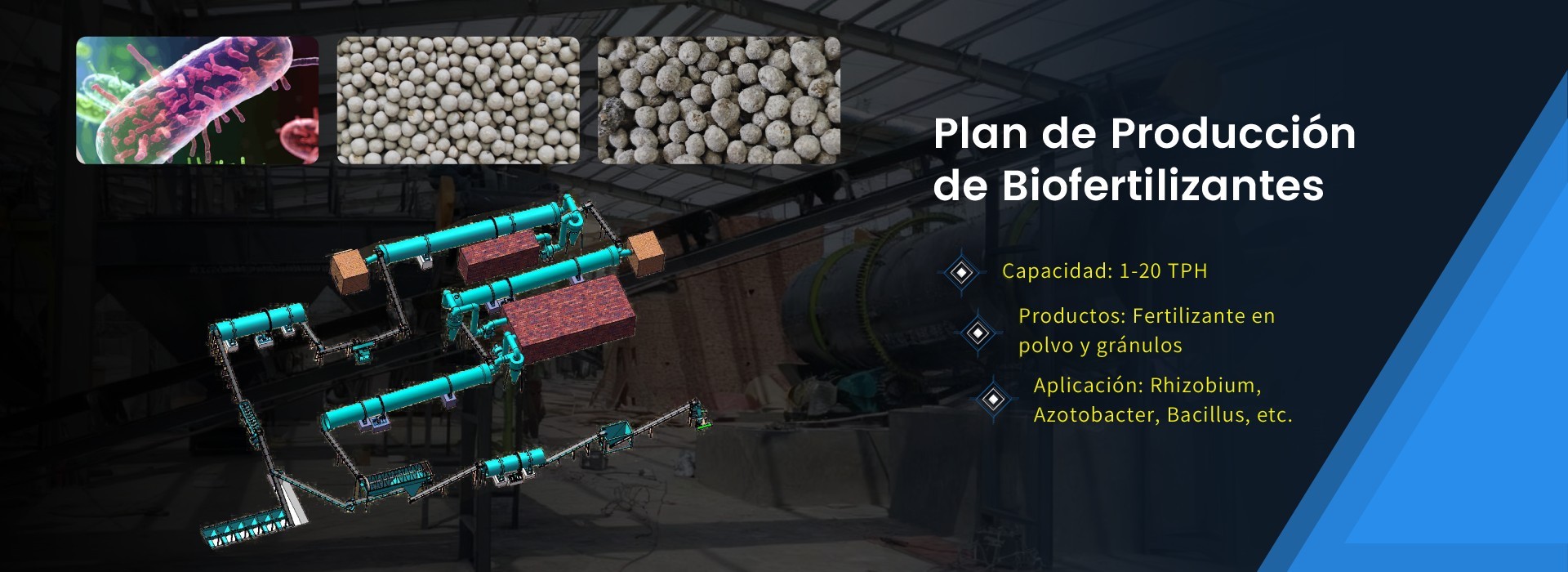 Plan de Producción de Biofertilizantes